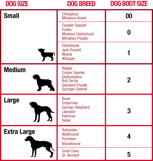 Youly Dog Boots Size Chart