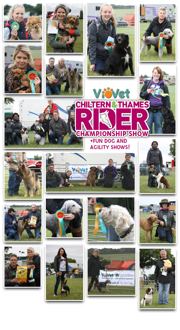 VioVet at the Chiltern and Thames Rider Championships 2013